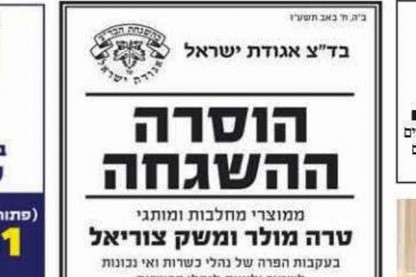 טרה