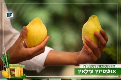 אתרוגים