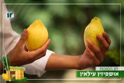 לוגו סוכות