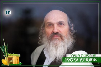 דודי זילברשלג