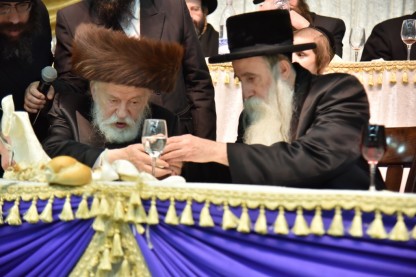 מכנובקא בעלזא