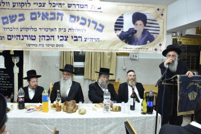 לוקווע וולברוז