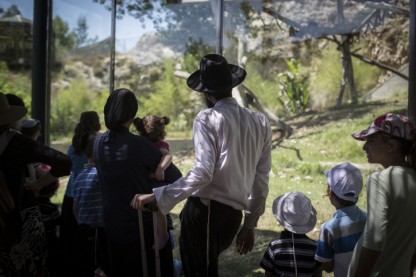 בין הזמנים, גינה