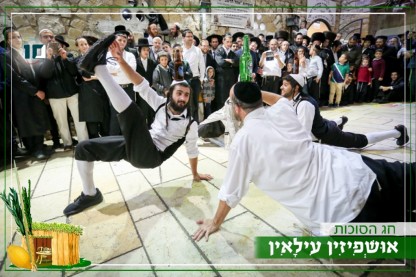 לוגו סוכות