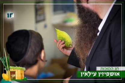 לוגו סוכות